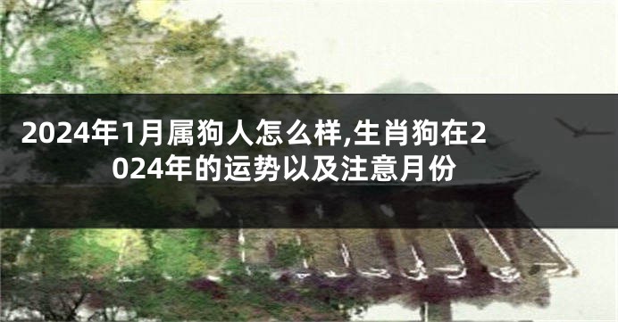 2024年1月属狗人怎么样,生肖狗在2024年的运势以及注意月份