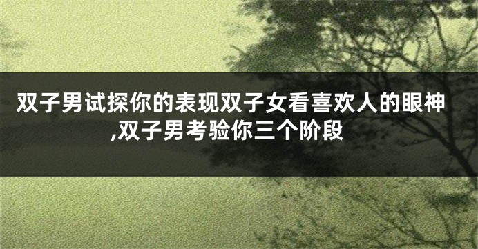双子男试探你的表现双子女看喜欢人的眼神,双子男考验你三个阶段