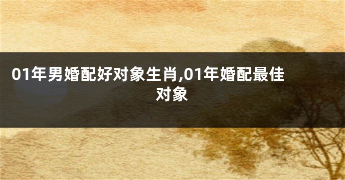 01年男婚配好对象生肖,01年婚配最佳对象