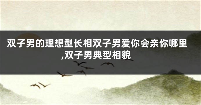 双子男的理想型长相双子男爱你会亲你哪里,双子男典型相貌