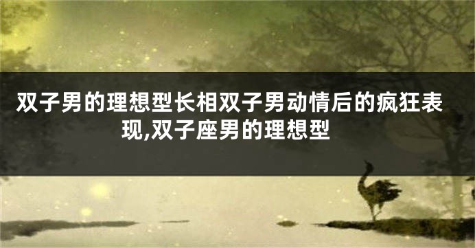 双子男的理想型长相双子男动情后的疯狂表现,双子座男的理想型