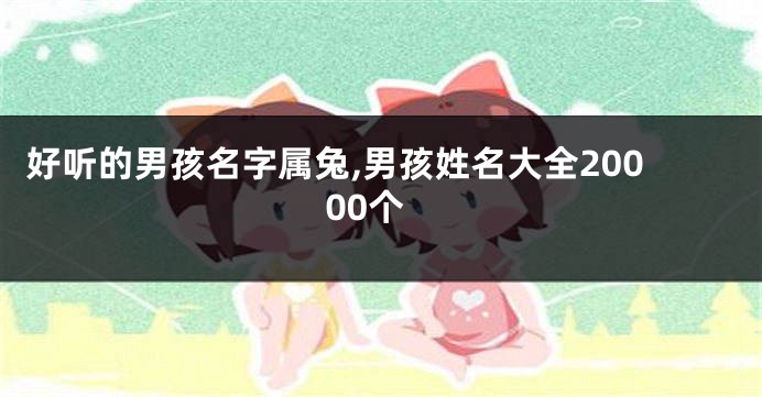好听的男孩名字属兔,男孩姓名大全20000个