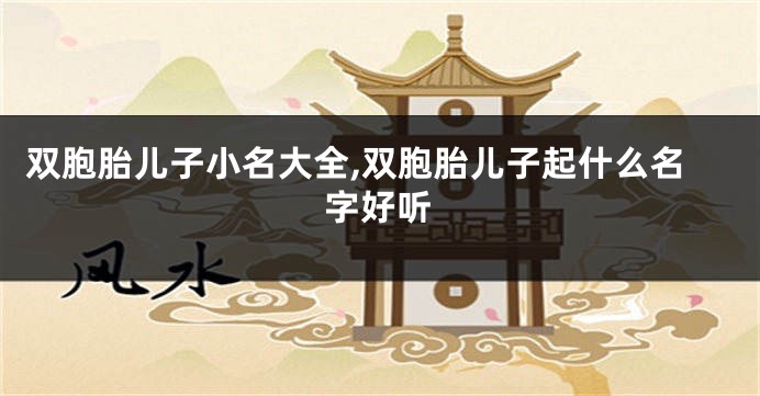 双胞胎儿子小名大全,双胞胎儿子起什么名字好听