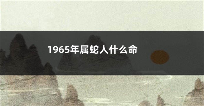1965年属蛇人什么命