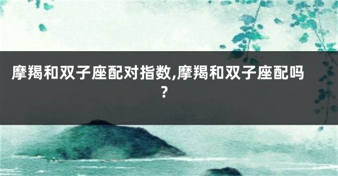 摩羯和双子座配对指数,摩羯和双子座配吗?