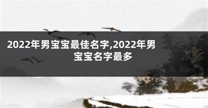 2022年男宝宝最佳名字,2022年男宝宝名字最多