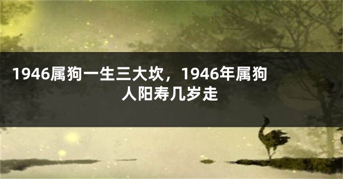 1946属狗一生三大坎，1946年属狗人阳寿几岁走