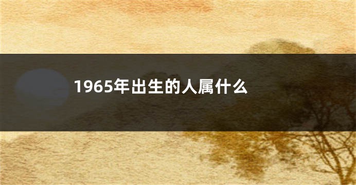 1965年出生的人属什么