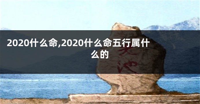 2020什么命,2020什么命五行属什么的