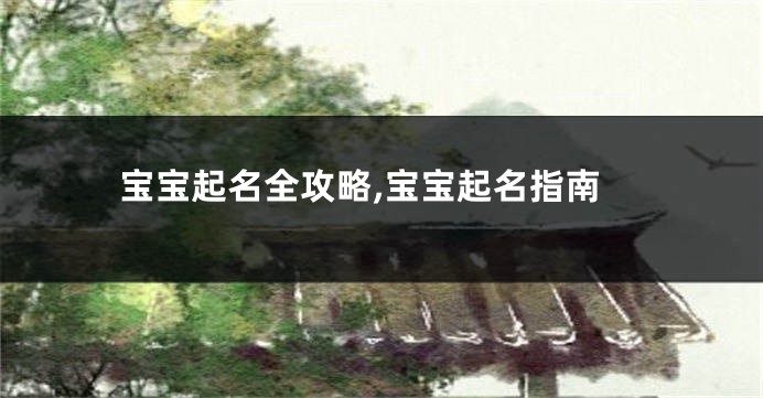 宝宝起名全攻略,宝宝起名指南