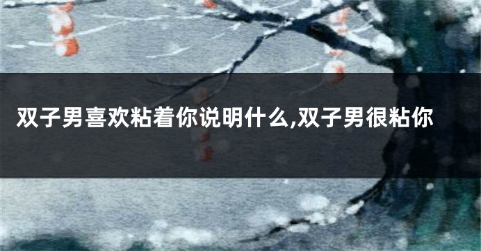 双子男喜欢粘着你说明什么,双子男很粘你