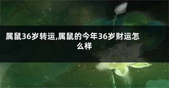 属鼠36岁转运,属鼠的今年36岁财运怎么样