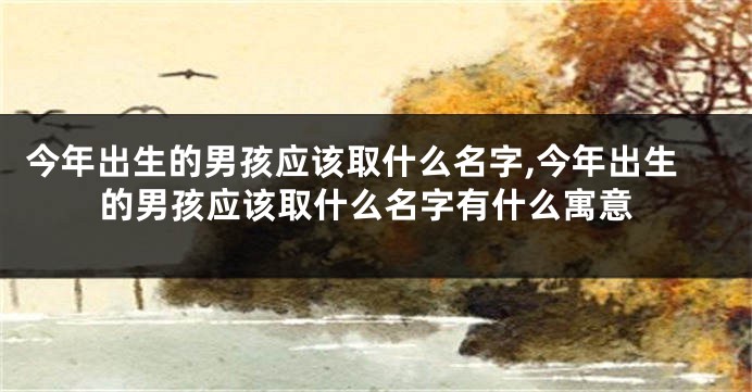 今年出生的男孩应该取什么名字,今年出生的男孩应该取什么名字有什么寓意