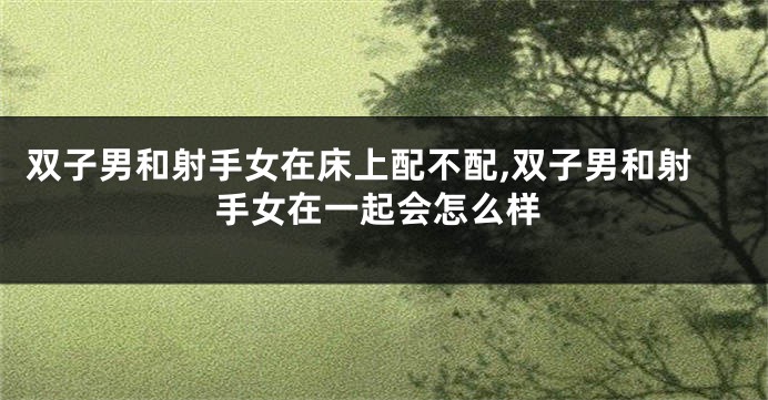 双子男和射手女在床上配不配,双子男和射手女在一起会怎么样