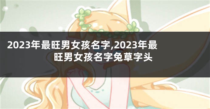 2023年最旺男女孩名字,2023年最旺男女孩名字兔草字头
