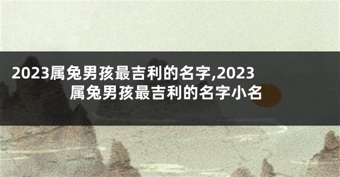 2023属兔男孩最吉利的名字,2023属兔男孩最吉利的名字小名