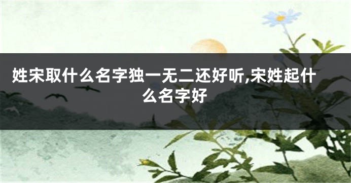 姓宋取什么名字独一无二还好听,宋姓起什么名字好