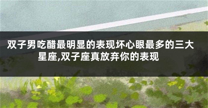 双子男吃醋最明显的表现坏心眼最多的三大星座,双子座真放弃你的表现