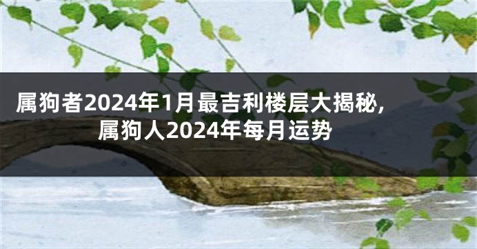 属狗者2024年1月最吉利楼层大揭秘,属狗人2024年每月运势