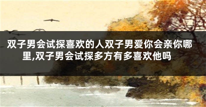 双子男会试探喜欢的人双子男爱你会亲你哪里,双子男会试探多方有多喜欢他吗