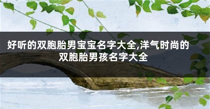 好听的双胞胎男宝宝名字大全,洋气时尚的双胞胎男孩名字大全