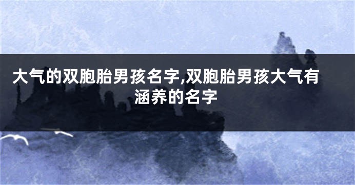 大气的双胞胎男孩名字,双胞胎男孩大气有涵养的名字