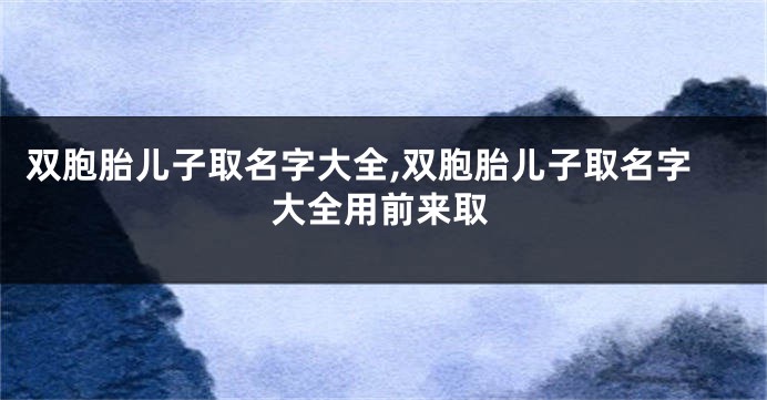 双胞胎儿子取名字大全,双胞胎儿子取名字大全用前来取