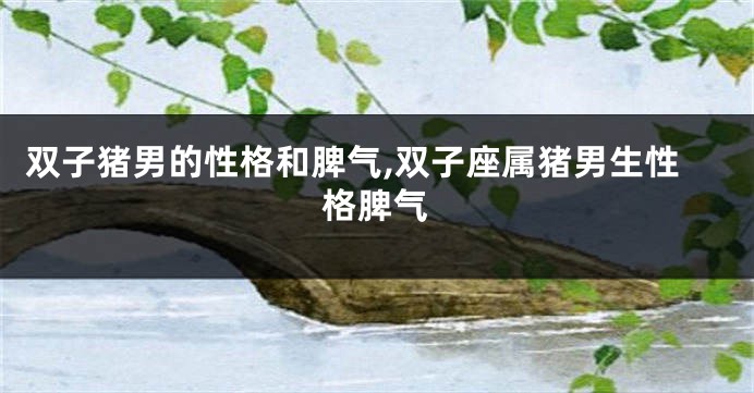 双子猪男的性格和脾气,双子座属猪男生性格脾气