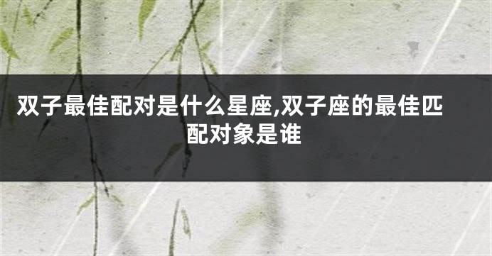 双子最佳配对是什么星座,双子座的最佳匹配对象是谁