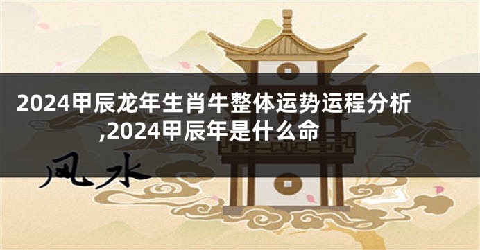 2024甲辰龙年生肖牛整体运势运程分析,2024甲辰年是什么命