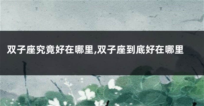双子座究竟好在哪里,双子座到底好在哪里