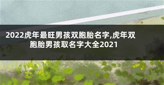 2022虎年最旺男孩双胞胎名字,虎年双胞胎男孩取名字大全2021