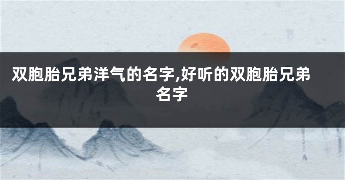 双胞胎兄弟洋气的名字,好听的双胞胎兄弟名字