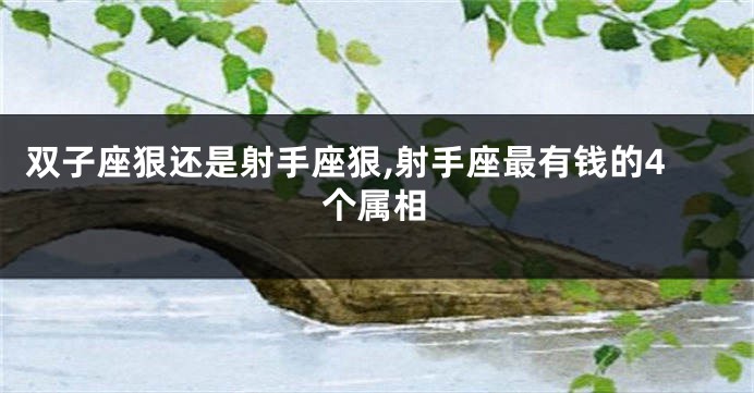 双子座狠还是射手座狠,射手座最有钱的4个属相
