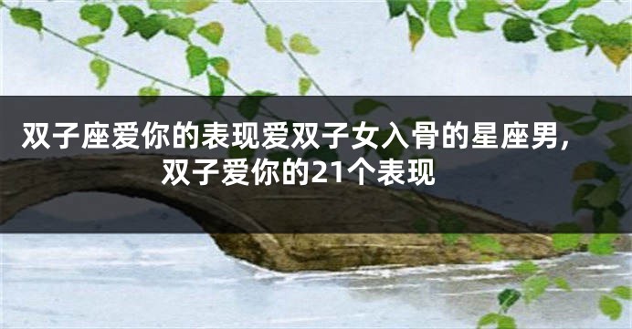 双子座爱你的表现爱双子女入骨的星座男,双子爱你的21个表现
