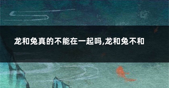 龙和兔真的不能在一起吗,龙和兔不和