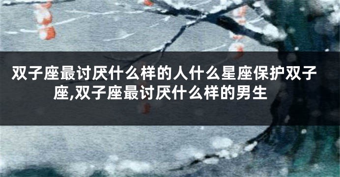 双子座最讨厌什么样的人什么星座保护双子座,双子座最讨厌什么样的男生