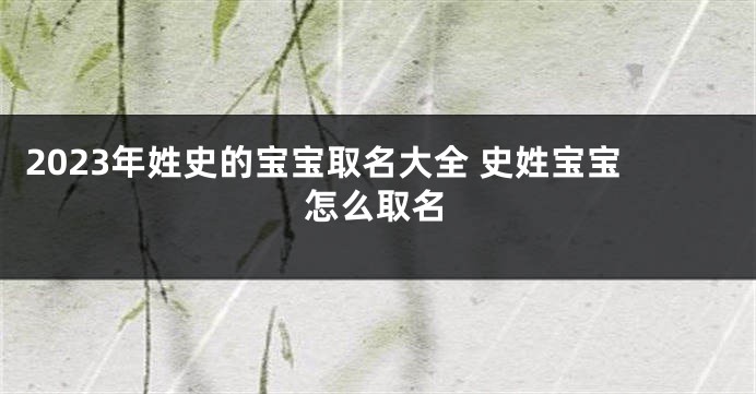 2023年姓史的宝宝取名大全 史姓宝宝怎么取名