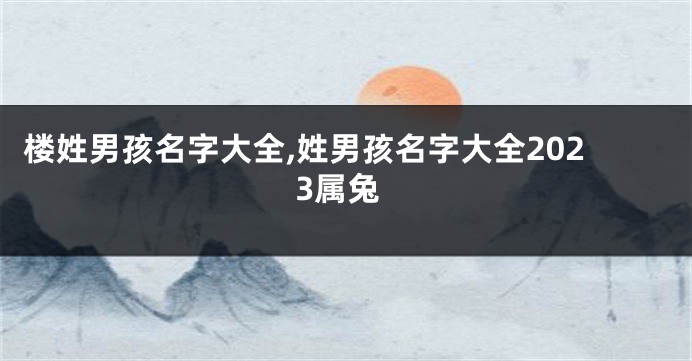 楼姓男孩名字大全,姓男孩名字大全2023属兔