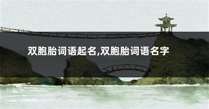 双胞胎词语起名,双胞胎词语名字