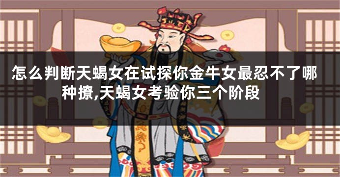怎么判断天蝎女在试探你金牛女最忍不了哪种撩,天蝎女考验你三个阶段