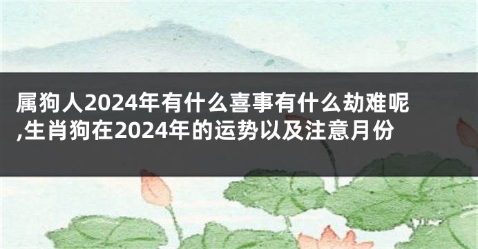 属狗人2024年有什么喜事有什么劫难呢,生肖狗在2024年的运势以及注意月份