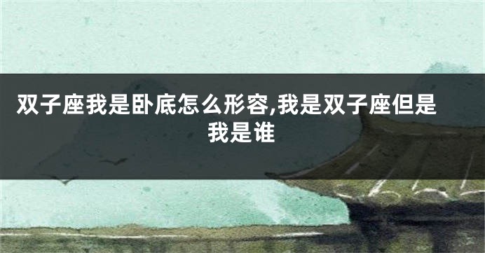 双子座我是卧底怎么形容,我是双子座但是我是谁