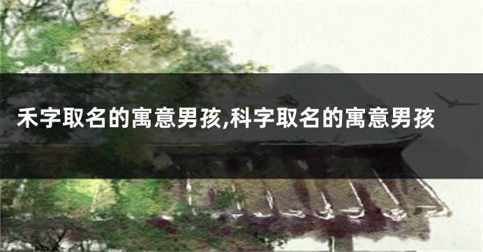 禾字取名的寓意男孩,科字取名的寓意男孩