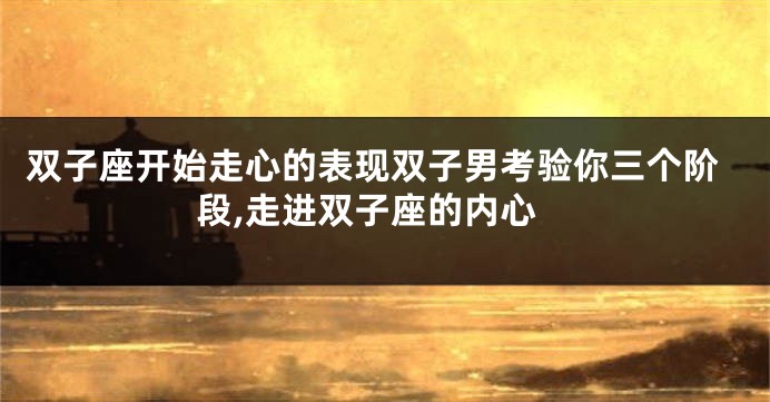 双子座开始走心的表现双子男考验你三个阶段,走进双子座的内心