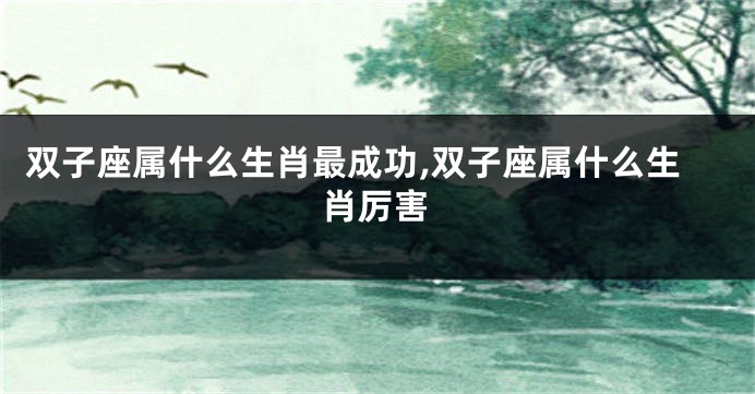 双子座属什么生肖最成功,双子座属什么生肖厉害