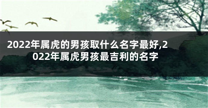 2022年属虎的男孩取什么名字最好,2022年属虎男孩最吉利的名字