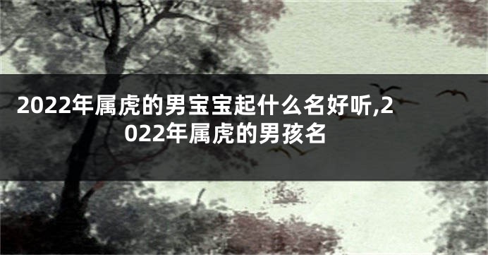 2022年属虎的男宝宝起什么名好听,2022年属虎的男孩名