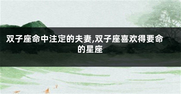 双子座命中注定的夫妻,双子座喜欢得要命的星座