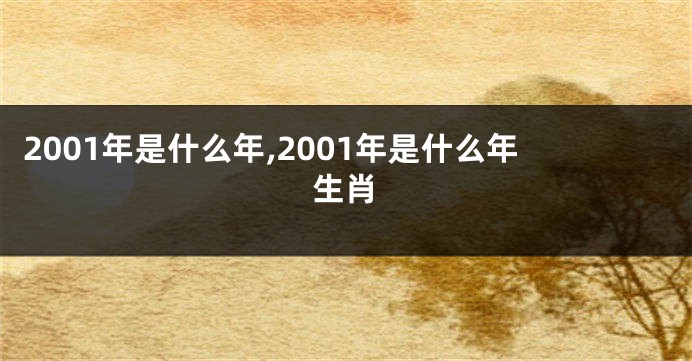 2001年是什么年,2001年是什么年生肖